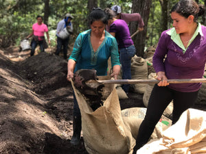 Trinidad's Job Creates a Ripple Effect for Her Six Daughters