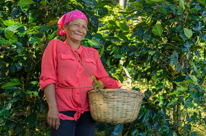 It's Never Too Late to Start Over