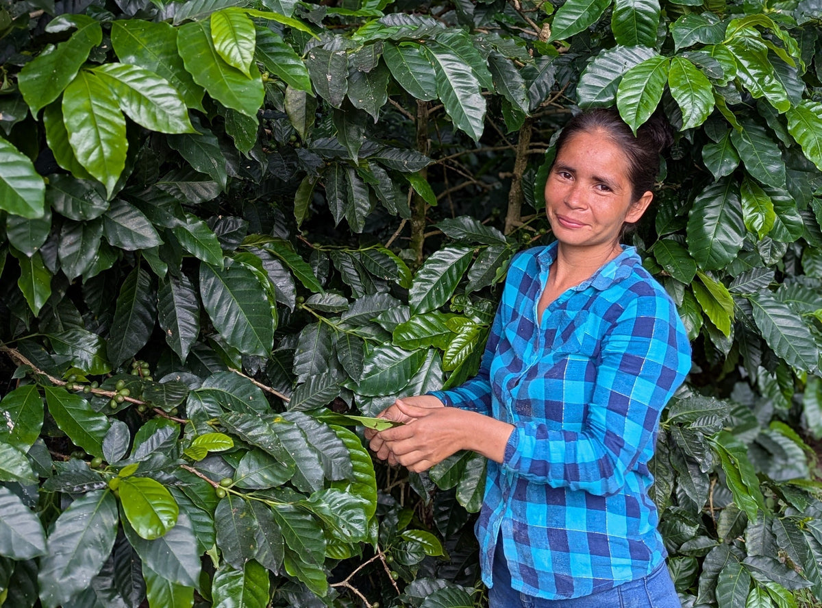 From Waiting to Thriving