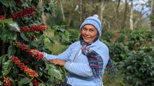 The Rebirth of Sonia