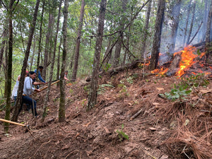 Disrupting the Predatory Coffee Industry
