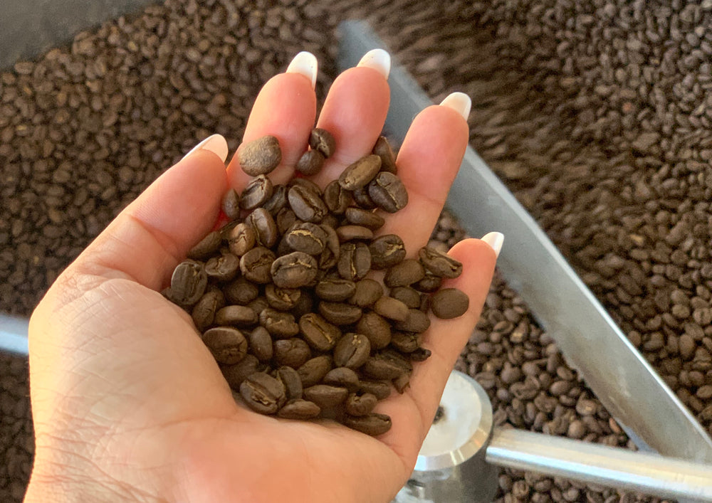 Exploring the Richness of Honduran Coffee: Unveiling Caturra and Catim ...
