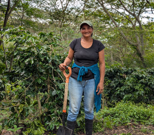 The Courage of Starting Over