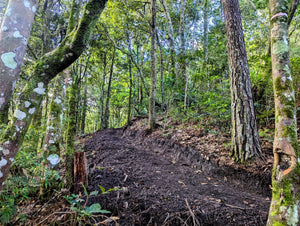 Rooted in Dreams: A Young Woman’s Path to Change